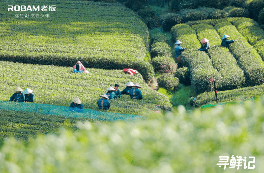 1783924761563702iHxt.png 图片21.png